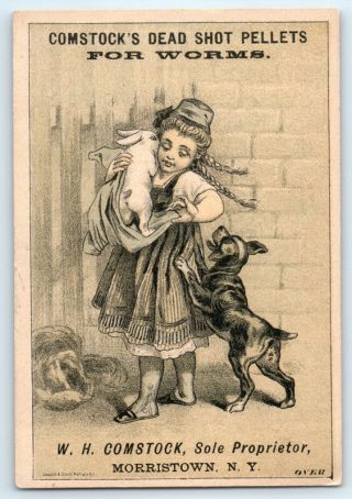 1800s Antique Comstock Worm Pellets For Children Victorian Trade Card Rabbit Dog