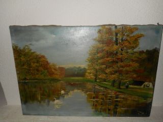 Old Oil Painting,  { Landscape With A Lake And Zwaans.  Is Signed }.