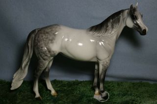 Peter Stone Ideal Stock Horse Gloss Miss Dainty Doc 1 Of 94 Rare 0988