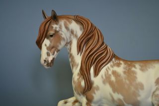 CM Custom Breyer horse by Tammy Myrold Lipizzaner Mare Traditional size 12