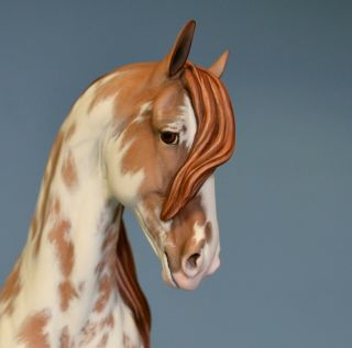 CM Custom Breyer horse by Tammy Myrold Lipizzaner Mare Traditional size 8