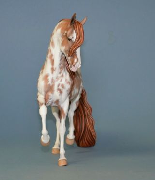 CM Custom Breyer horse by Tammy Myrold Lipizzaner Mare Traditional size 9