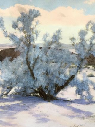 Stephen Willard Hand Painted Desert Photograph Death Valley California Painting 5