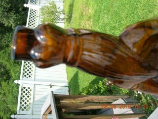 1868 Brown’s Celebrated Indian Herb Bitters Bottle Indian Queen Bold Detail 5