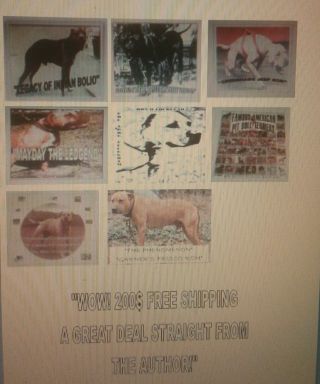 Wow 8 American Pit Bull Terrier Book Deal From The Author.