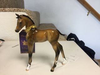 Peter Stone Arabian Colt Horse