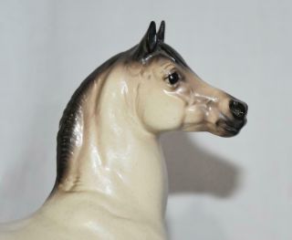 Hagen Renaker Dw San Dimas Amir Doeskin Arabian Stallion Horse Figurine