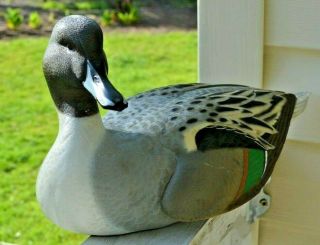 Ducks Unlimited Special Edition Duck Decoy Sculpture With Gold Coin 2003 - 04 14”