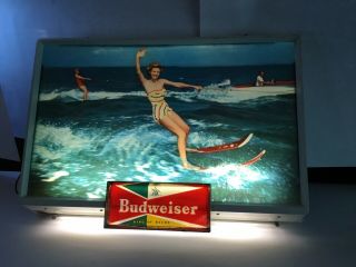 Vintage Budweiser Bar Light Water Ski King Of Beers Pub Bar Lighted Up