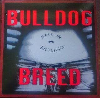 Rare Lp Uk Oi Punk Skin Isd Ror Rebelles Bulldog Breed Made In.  Reissue