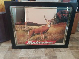 (vtg) Budweiser Beer Deer Buck & Woods Giant Mirror Bar Sign Anheuser - Busch