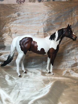 Peter Stone Ideal Stock Horse Bay And White Custom Mane/tail