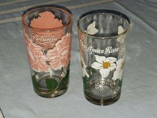2 1950s Vintage Boscul Peanut Butter Glasses - Christmas Rose & Petunia