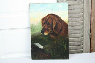 Antique Oil Painting Brown Dog Brown Eyes Hunting Dog W Catch Portrait Of Dog