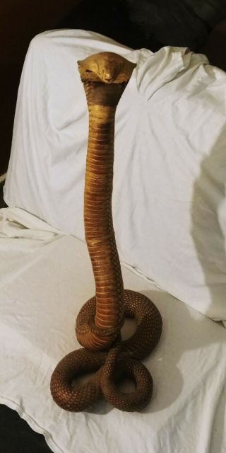 100 Real Cobra Snake Statue Rich Coloring.