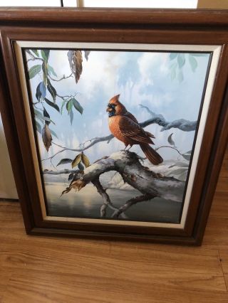 Vintage Oil On Canvas Painting Of Red Robin Bird Signed By Artist A Saimon