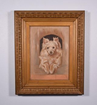 Antique Oil On Canvas Painting/portrait Of A Dog