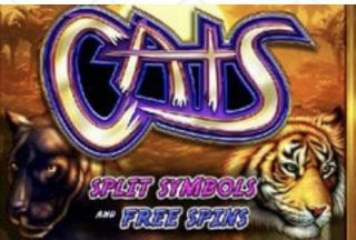 igt 044 enhanced cpu game board with flash board And Software - Cats -. 2
