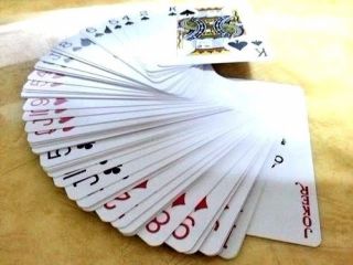 12 Dk Playing Cards Royal Brand Washable 100 Plastic Bridge size,  Fee 1 case 2