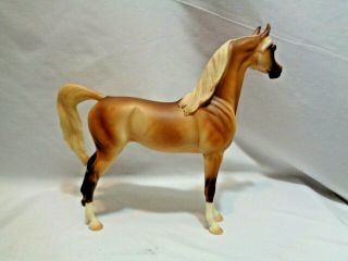 Peter Stone Arabian Mare Fandango Model Horse 2003 - 2004