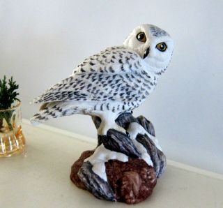 Edward Marshal Boehm Snowy Owl Birds Of North America 20073 Figurine