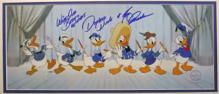 Donald Duck Through The Years Disney Cel Sericel Signed Voice Tony Anselmo
