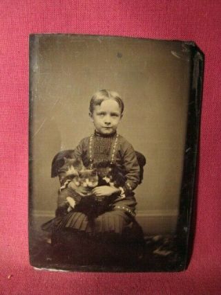 Wonderful Tintype Photograph Child With Three Kittens