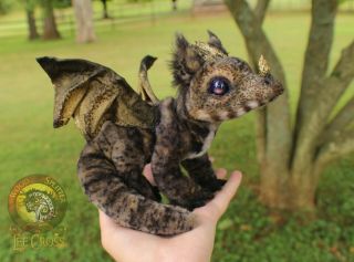 Lee Cross Originals Poseable One Of A Kind Baby Dragon Pet