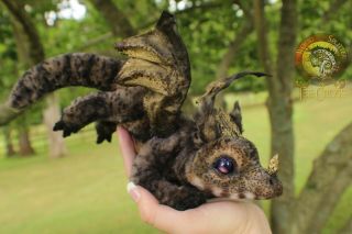 Lee Cross Originals Poseable One of a Kind Baby Dragon Pet 2