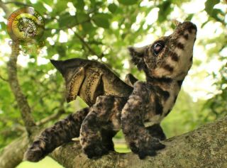 Lee Cross Originals Poseable One of a Kind Baby Dragon Pet 3