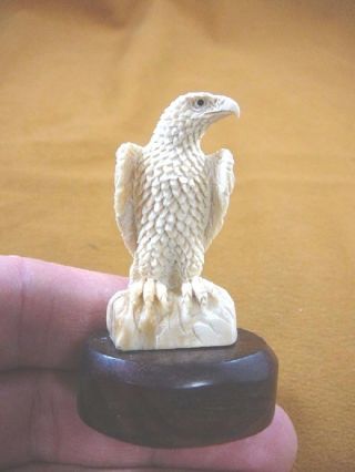 (eag - 7) Proud Bald Eagle Of Shed Antler Figurine Bali Detailed Carving Eagles