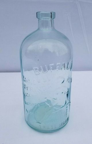 Rare - Antique Buffalo Mineral Springs Water Glass Bottle