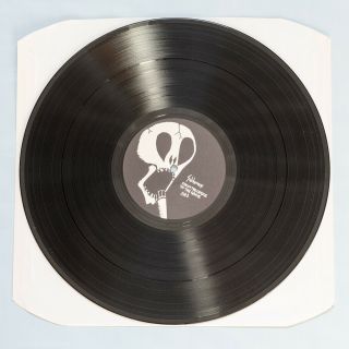 SUBHUMANS ‎– From The Cradle To The Grave vinyl Gatefold LP 1984 UK PUNK ROCK 3