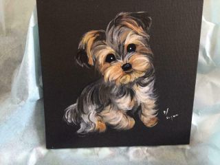 Adorable Yorkie Puppy Painting