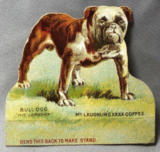 1890 Bull Dog Champion Mclaughlins Coffee Victorian Advertising Trade Card