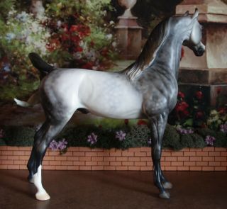 Peter Stone Stone model horse dapple grey Arabian 2