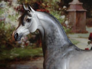 Peter Stone Stone model horse dapple grey Arabian 3