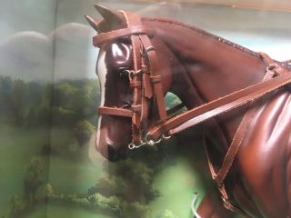 Rare Retired Breyer Horse 1264 Side Saddle Rider Gift Set Strapless Tack Box 5