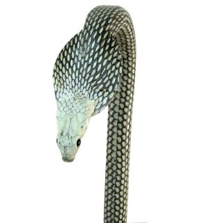 Real King Cobra Skin Hide Snake Head Walking Stick Cane Taxidermy Staff