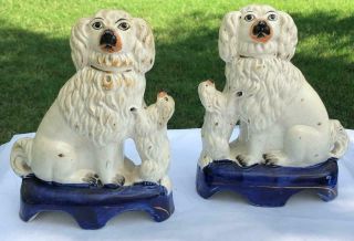 Pair Staffordshire Dogs Seated White Spaniels W/ Standing Puppies19th Century