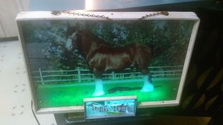 Budweiser The King Of Beers 1950s Rare Lighted Glass & Metal Clydesdale Horse Si