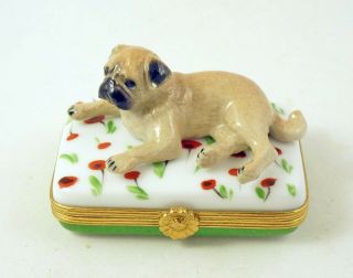French Limoges Trinket Box Cute Pug Dog Puppy On White Box With Red Flowers