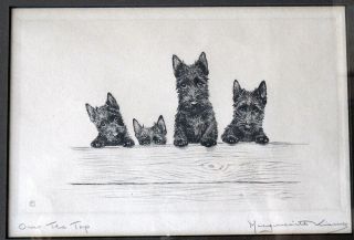 Signed Marguerite Kirmse Etching 4 Scottish Terrier Puppy Dogs " Over The Top "