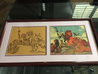 Lion King Framed Print (sketch And Cel Format)