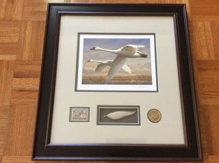 2016 Federal Duck Stamp Print,  Ducks Unlimited,  Duck Band,  Trumpeter Swan,  Hautman