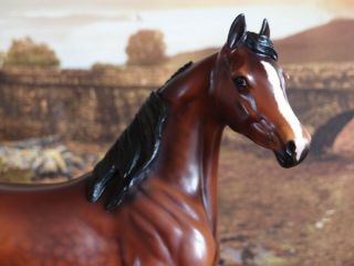 Peter Stone Stone model horse mold Arabian bay mare Ooak 4