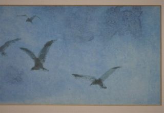 Victor Ing Flying Birds Seagulls Watercolor Signed Chineese Chicago Artist 5
