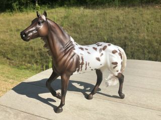 Breyer Breyerfest 2019 Quill Matte Horse Special Run Appaloosa Sr