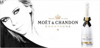 Moet Chandon Ice Imperial Glasses White Acrylic Champagne Glasses Set of 10 8