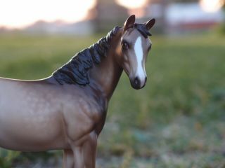 Peter Stone model horse Ooak weanling 3
